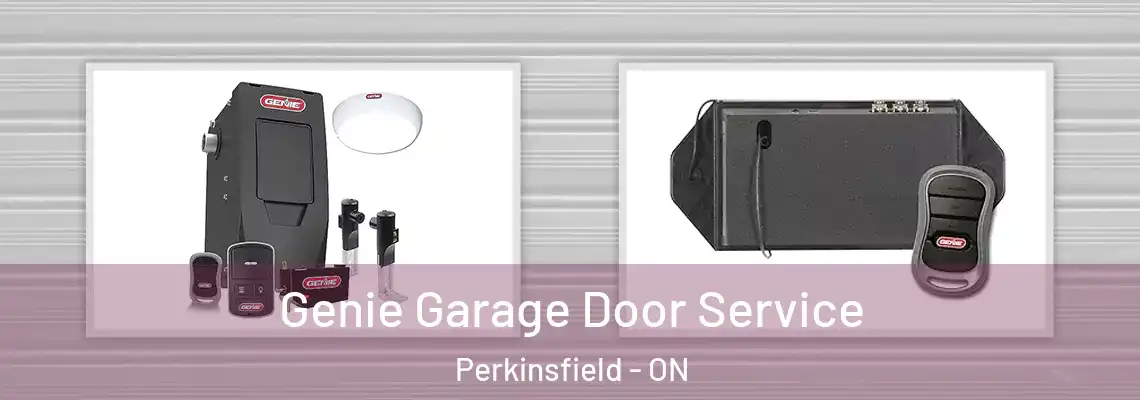 Genie Garage Door Service Perkinsfield - ON