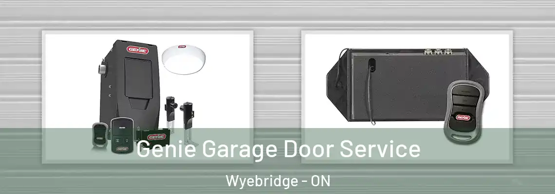 Genie Garage Door Service Wyebridge - ON