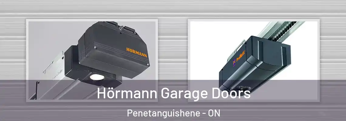 Hörmann Garage Doors Penetanguishene - ON