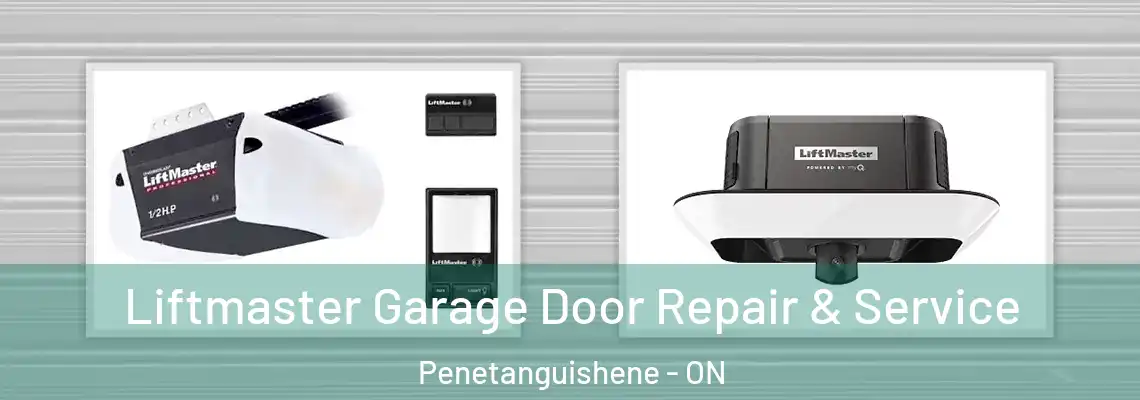 Liftmaster Garage Door Repair & Service Penetanguishene - ON