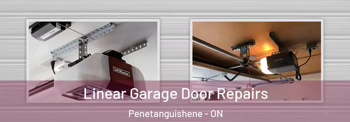 Linear Garage Door Repairs Penetanguishene - ON