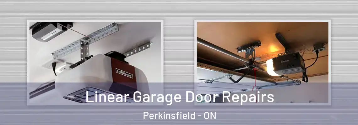 Linear Garage Door Repairs Perkinsfield - ON