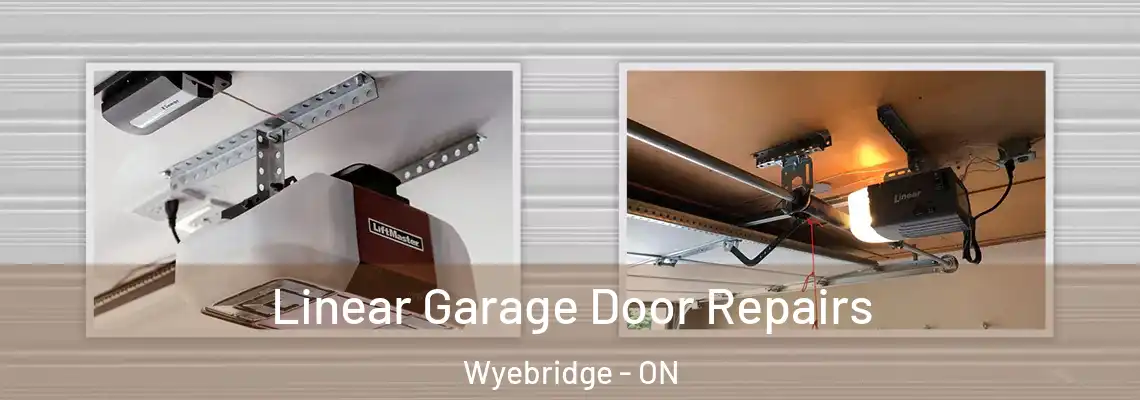 Linear Garage Door Repairs Wyebridge - ON