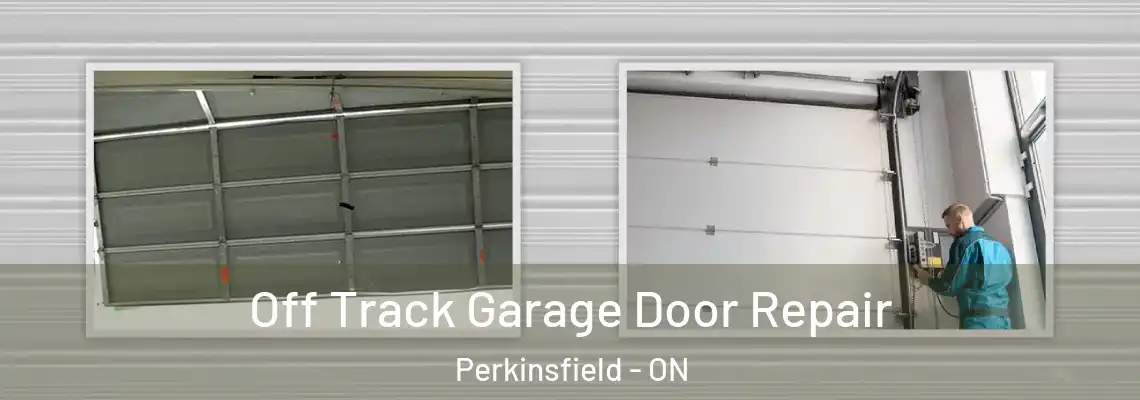 Off Track Garage Door Repair Perkinsfield - ON