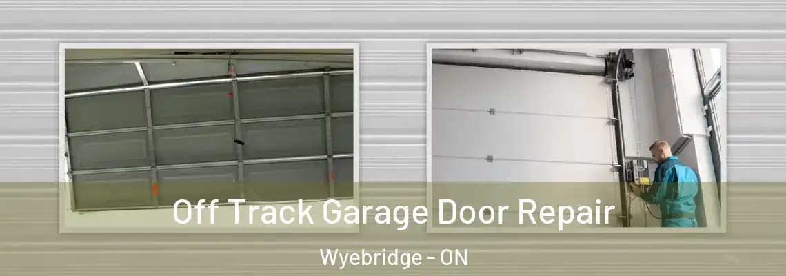 Off Track Garage Door Repair Wyebridge - ON