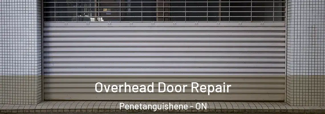 Overhead Door Repair Penetanguishene - ON