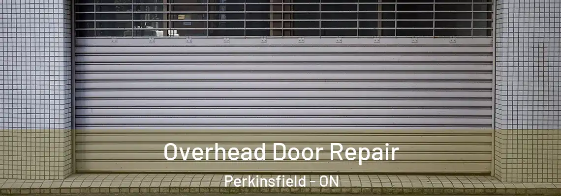 Overhead Door Repair Perkinsfield - ON