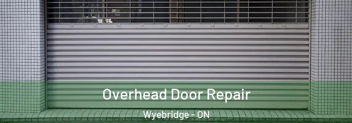 Overhead Door Repair Wyebridge - ON