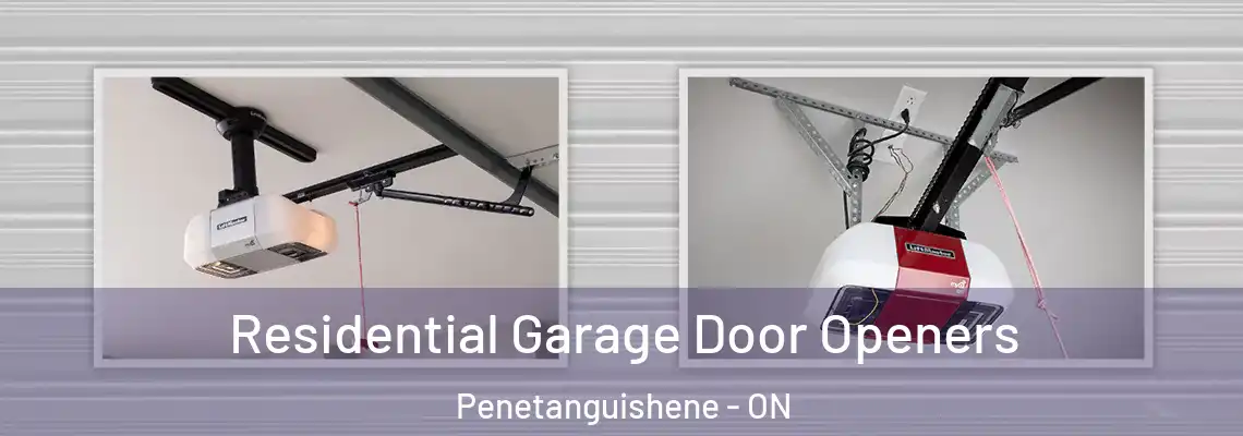 Residential Garage Door Openers Penetanguishene - ON