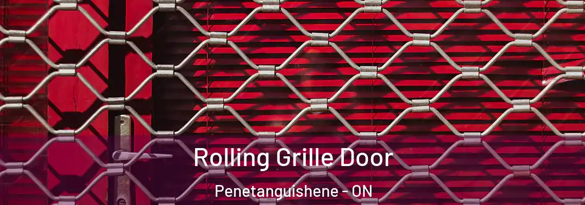 Rolling Grille Door Penetanguishene - ON
