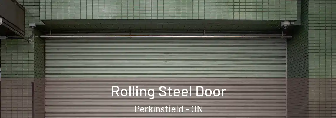 Rolling Steel Door Perkinsfield - ON