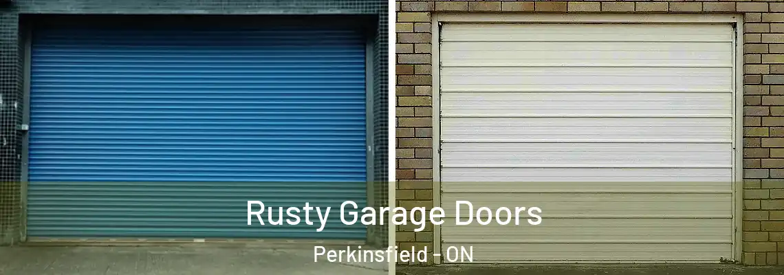 Rusty Garage Doors Perkinsfield - ON