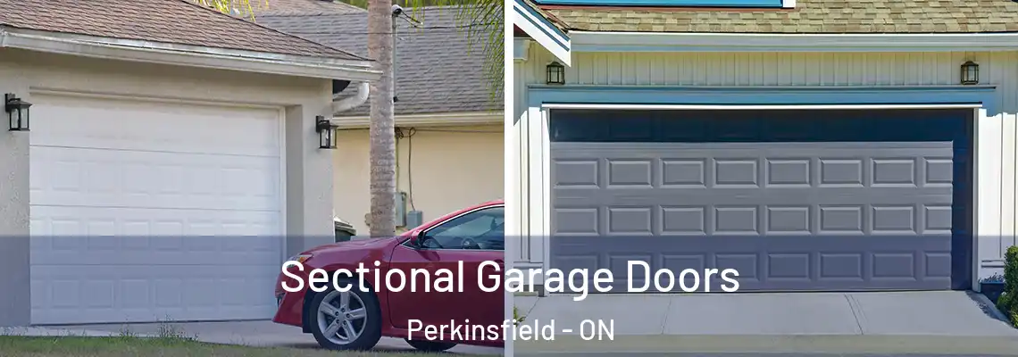 Sectional Garage Doors Perkinsfield - ON