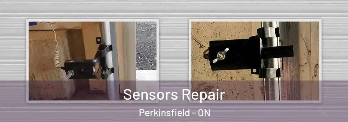 Sensors Repair Perkinsfield - ON